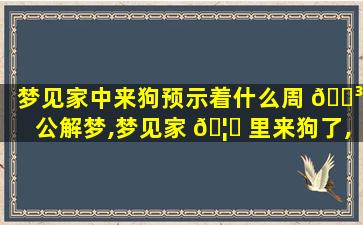 梦见家中来狗预示着什么周 🐳 公解梦,梦见家 🦈 里来狗了,意味着什么